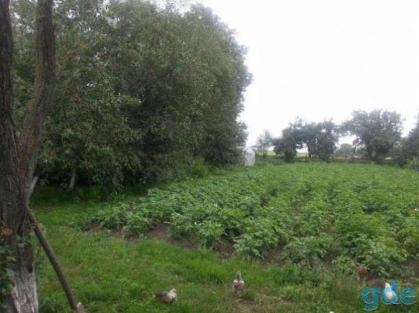 продаю, д,Лозы Волковысского района, фотография 2