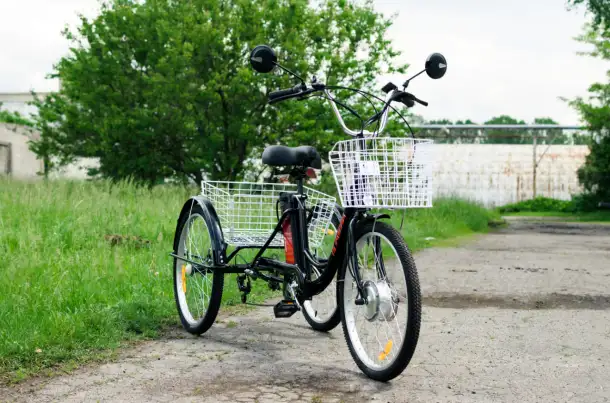 Электровелосипед AVM E-ALFA TRIKE 24, фотография 4