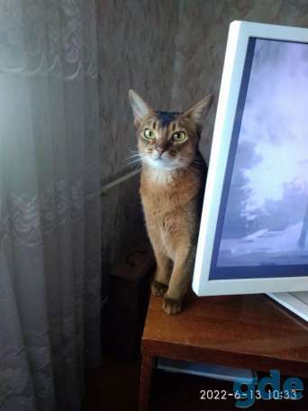 В дар, фотография 4