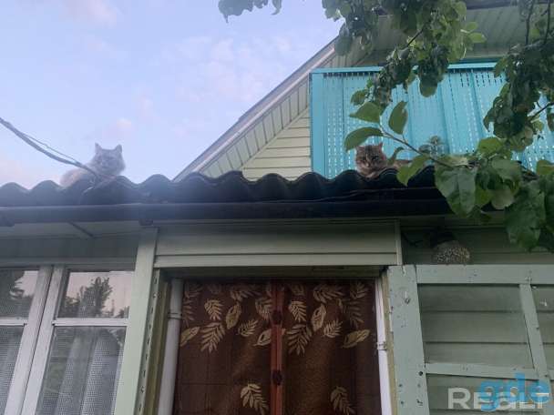 Продается дача, СТ Мичуринец, фотография 12