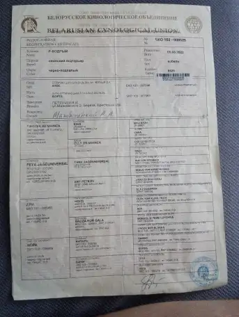 Продажа, фотография 4