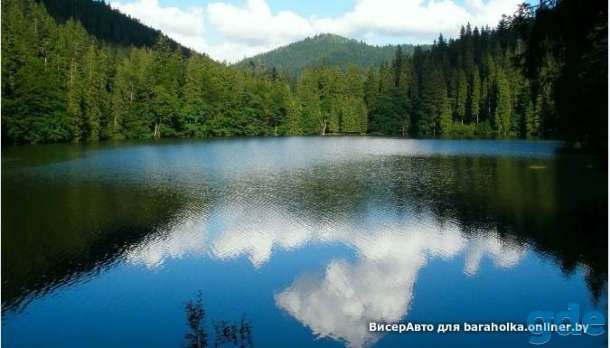 Тур выходного дня во Львов-Карпаты + водопад Шипот, Синевир, бурые мишки ..., фотография 2