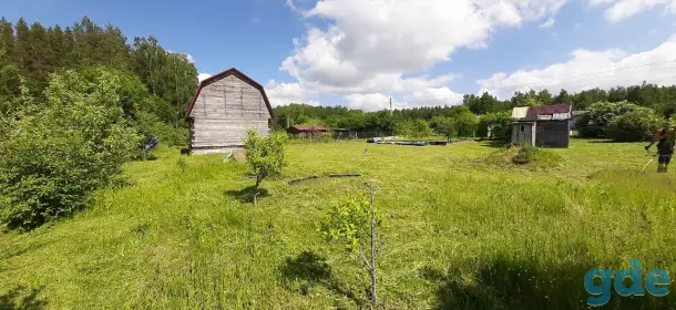 Дача, Участок 10соток в КОЛОСОВО - СТ Чаборок, фотография 8