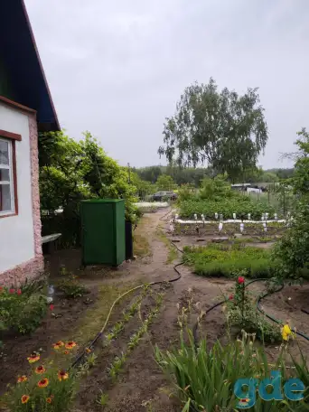 продажа дачи, Ветковский район, Рудня-Споницкая, фотография 2