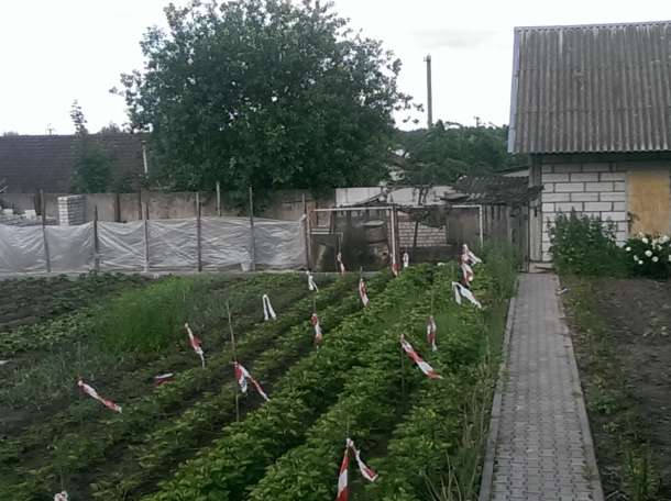 2-х этажный коттедж (не дорого), п. Чисть Молодечненского р-на, фотография 2
