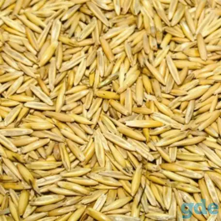 Очистка зерна и любых других сыпучих продуктов, фотография 1