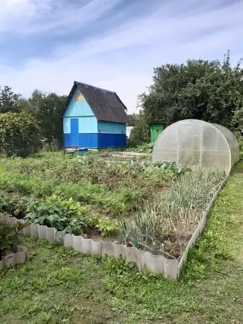 Продам дачу, Молодечненский р-н  с/т 