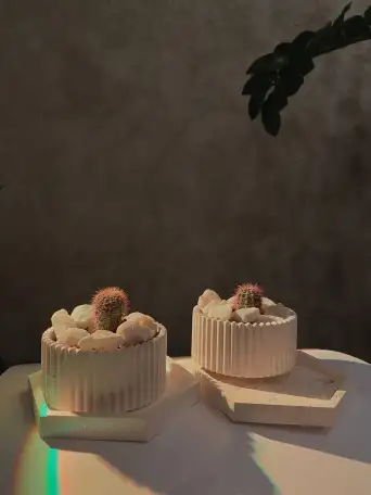 Растения, фотография 11