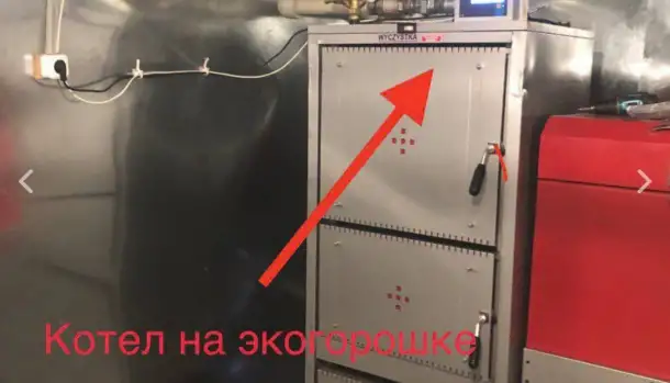 Продаю, ищу партнеров или инвесторов на действующий бизнес по выращиванию грибов шампиньонов и вешенки., фотография 5
