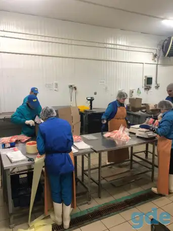 Рабочие на морепродукты (РФ, без опыта), фотография 3