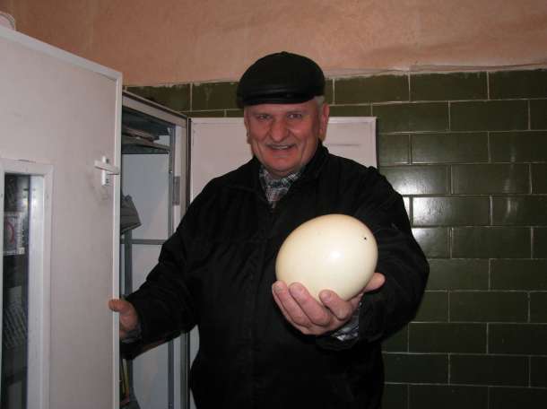 Продам инкубаторы на 63 и 72 страусиных яйца, фотография 1