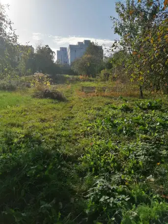 Продам участок, г.Каменец ул Пивненко 28., фотография 1