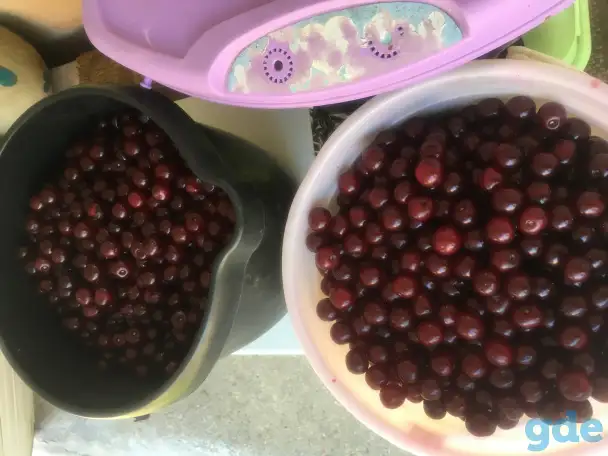 Продам ягоды вишни, фотография 1