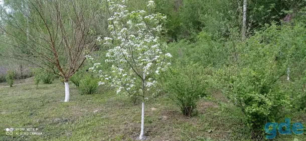 Продам участок с домом, ул.Нагорная, д.65, фотография 6