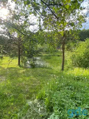 Продажа дачного участка, фотография 1