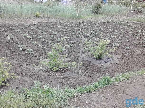 Срочно продам дачу, фотография 10