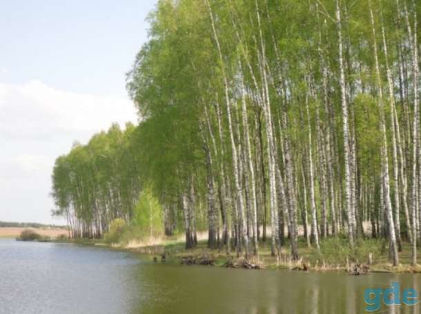 Продажа квартиры, Ул.Волымерская 23, фотография 10
