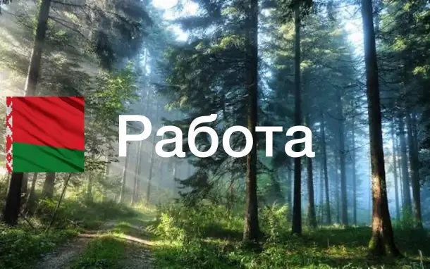 Вальщик леса - Сучкорез, фотография 1