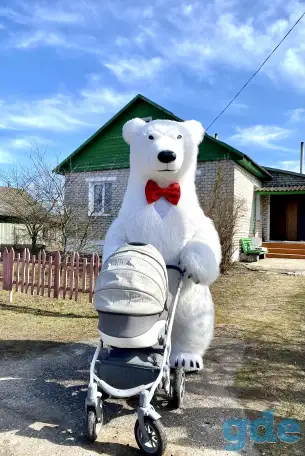 Поздравления от медведе/панды/мишка, фотография 1