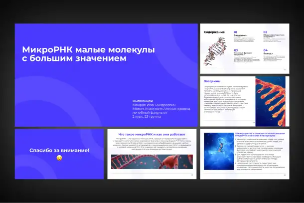 Бизнес-Презентация с нуля. До 30 слайдов, фотография 3