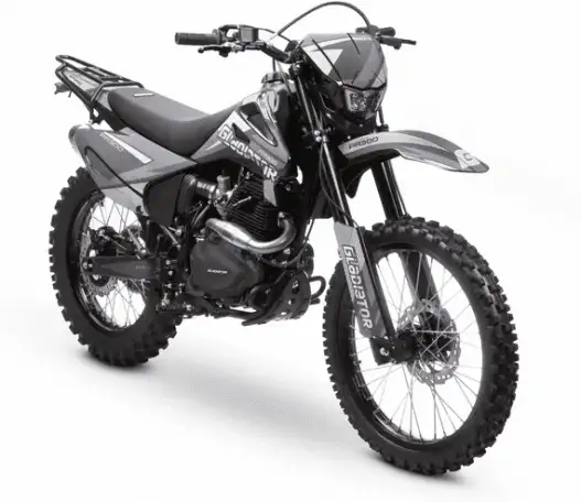 Мотоцикл GLADIATOR C4 PR300, фотография 5
