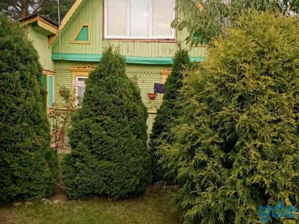 Дача белое, 152к1, садовое товарищество Химик, Гродненский район, Гродненская область, фотография 2