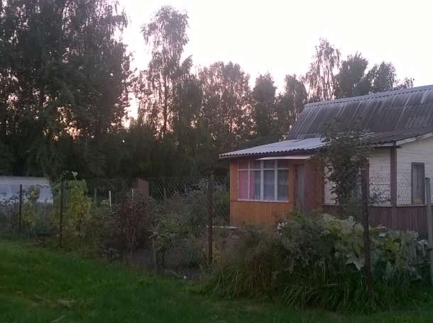 Дача возле Фаниполя. Бруморовщина., фотография 1