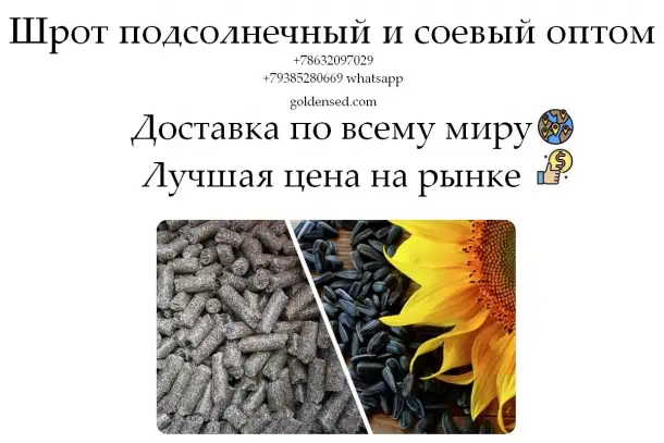 Шрот подсолнечный и соевый оптом от производителя ГК Юг Руси, фотография 1