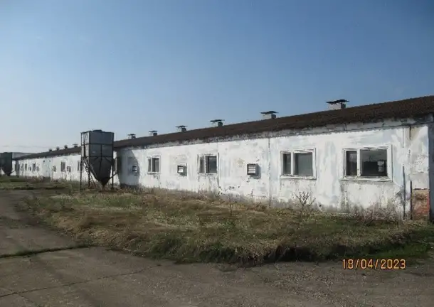 Комплекс объектов свинотоварной фермы на 1000 голов под Минском, фотография 6