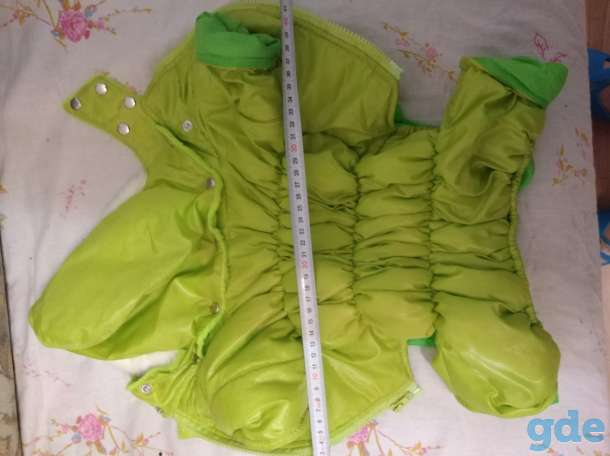 Продам куртку для маленькой собачки, фотография 2