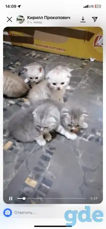 Продам, фотография 1