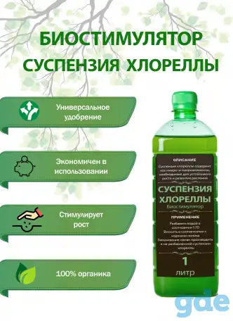 Суспензия хлореллы, фотография 1