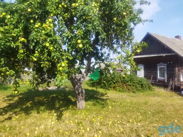 продам дом в деревне, д.Задобричье Червенский район, фотография 1