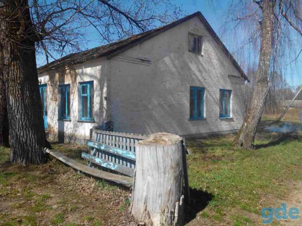 Здание для организации агротуризма, ул. Мира, 66  д. Броды Пружанский район Брестская область, фотография 5