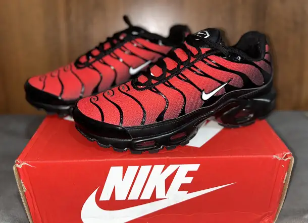 Кроссовки NIKE TN, SALOMON, фотография 5