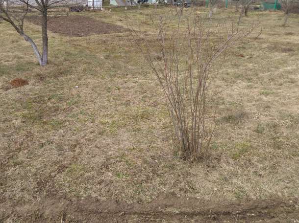Срочно продам с/т Фантазия-Силичи, фотография 5