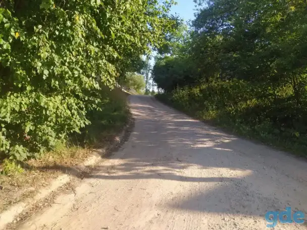 прекрасный участок на берегу озера Городно, Озёрная ул, 13, деревня Городнянский Мох, Новкинский сельсовет, район,, фотография 6