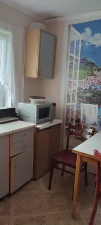 Сдам дом в Дисне. Документы для командировок, фотография 6