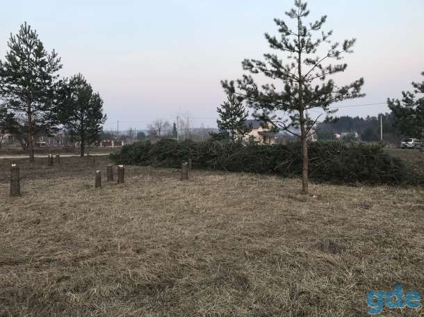 Покос,спил деревьев  окос,скос кустарников и травы., фотография 3