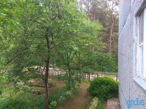 Продается квартира в 2-х этажном, 2-х квартирном доме., фотография 3