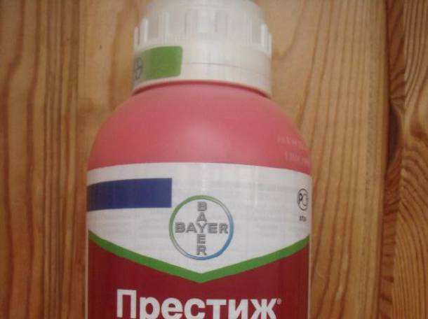 Престиж, фотография 1