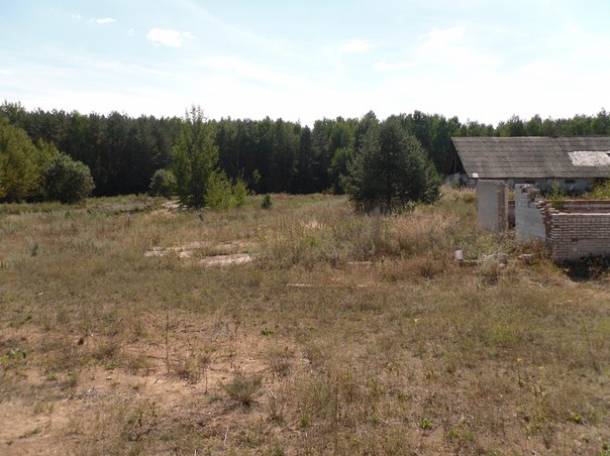 Перспективный участок в Негоничах 4,3 Га (89 км от Минска), фотография 3