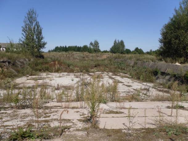 Перспективный участок в Негоничах 4,3 Га (89 км от Минска), фотография 8