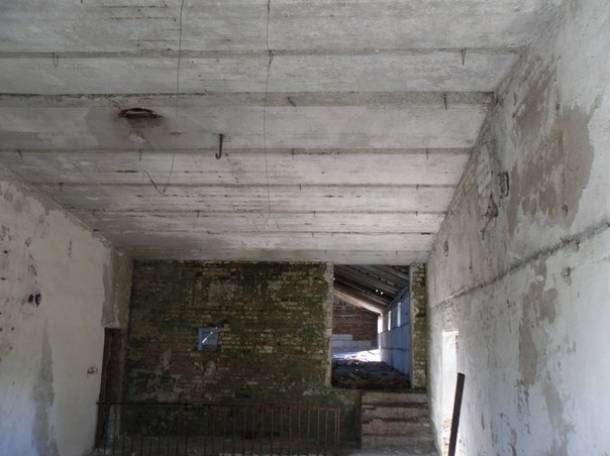 Перспективный участок в Негоничах 4,3 Га (89 км от Минска), фотография 10