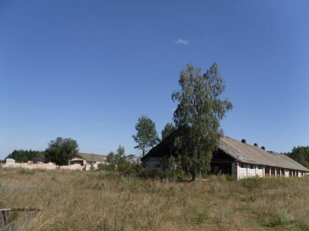 Перспективный участок в Негоничах 4,3 Га (89 км от Минска), фотография 13