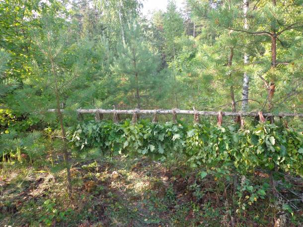 Мётла для подметания и веники для бани, фотография 6