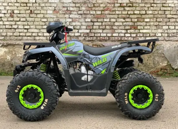 Квадроцикл ATV Motoland Wild 125 без ПТС (к-т з/ч), фотография 2