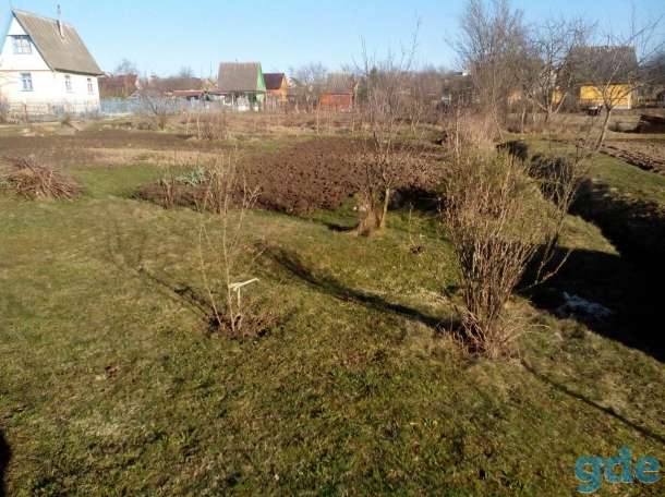 Продам дачный участок(7 соток, колодец), фотография 5