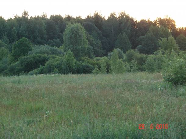 Дом мечты, д.Красный яр, фотография 6