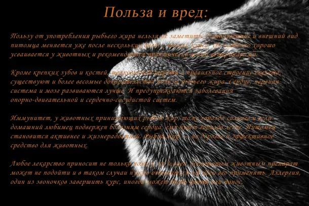 Масло из лосося камчатского SALMON OIL 100мл., фотография 4